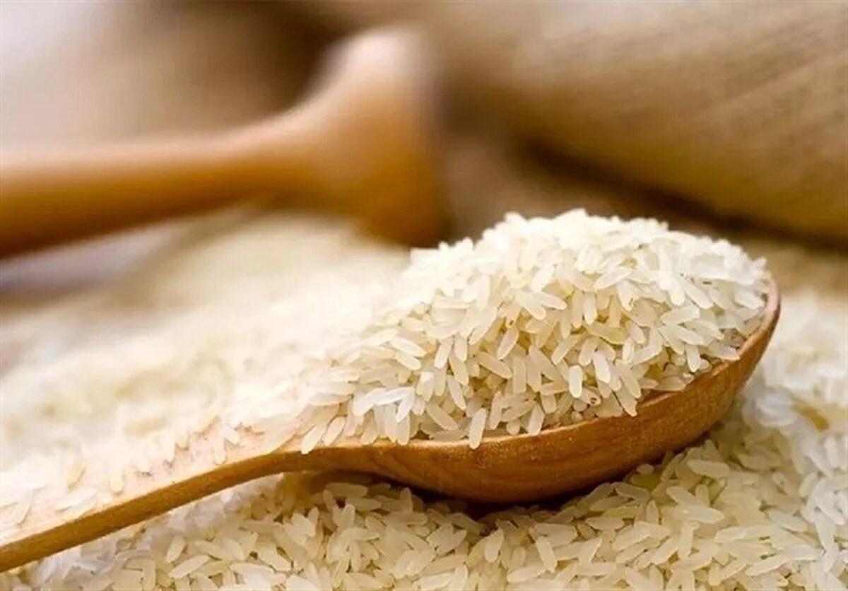 واردات عظیم برنج به کشور/ قیمت برنج ایرانی به ۲۵۰ هزار تومان رسید